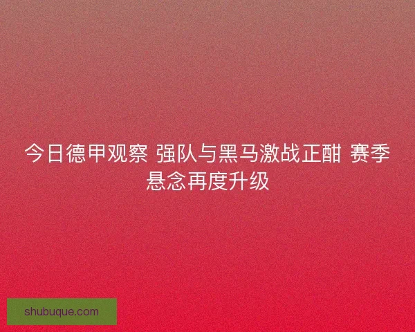 今日德甲观察 强队与黑马激战正酣 赛季悬念再度升级
